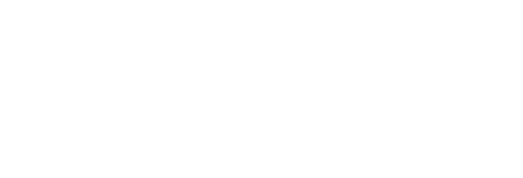 Sakari Partner